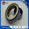 Hot Selling Roller Bearing Single Row Bearing (NU207)